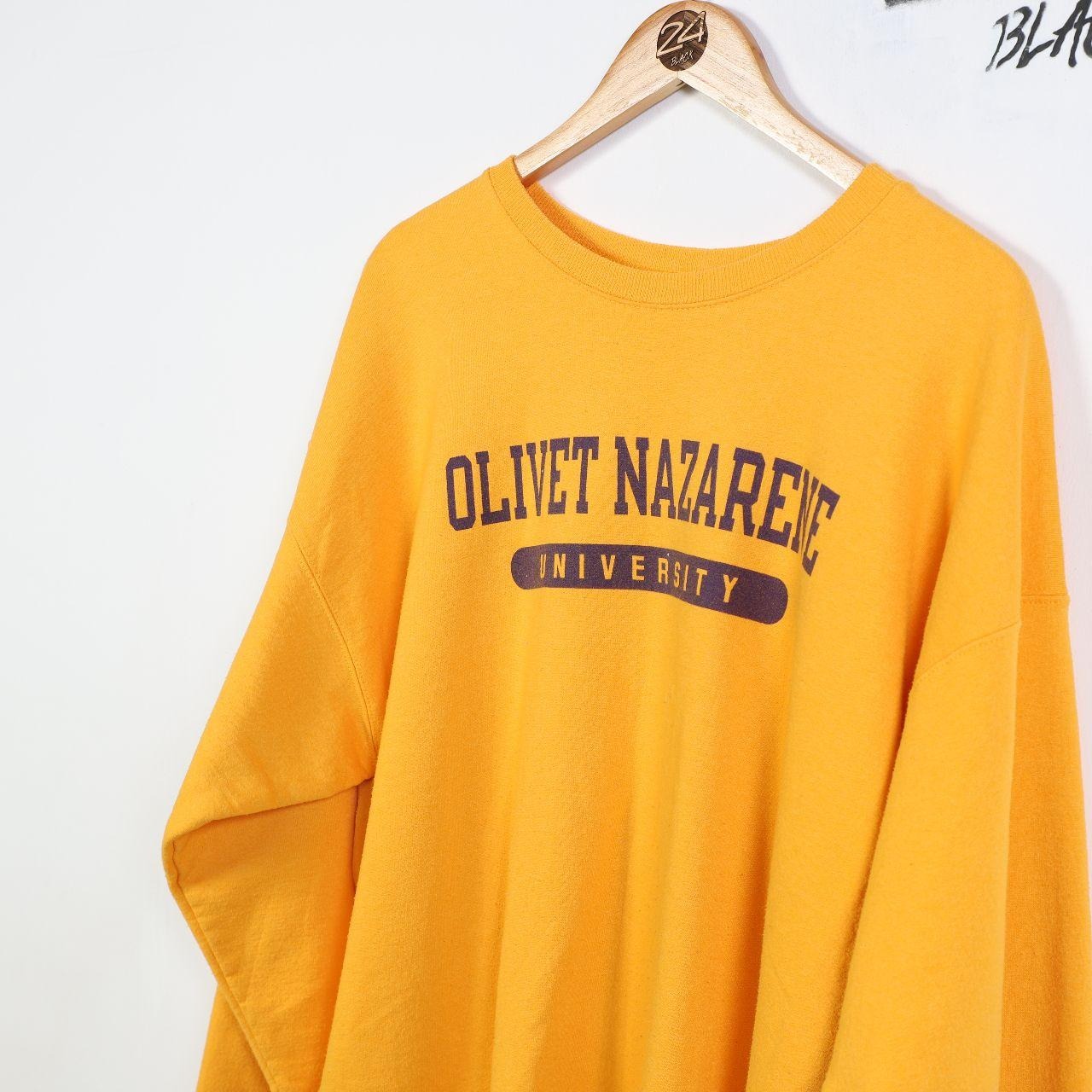 Vintage Champion University Sweatshirt